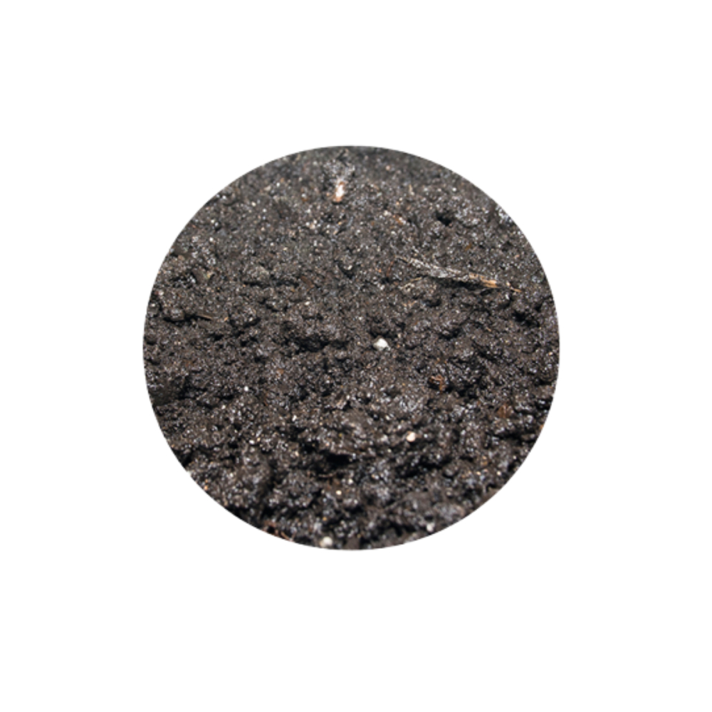 خاک پوششی قارچ تی تاک